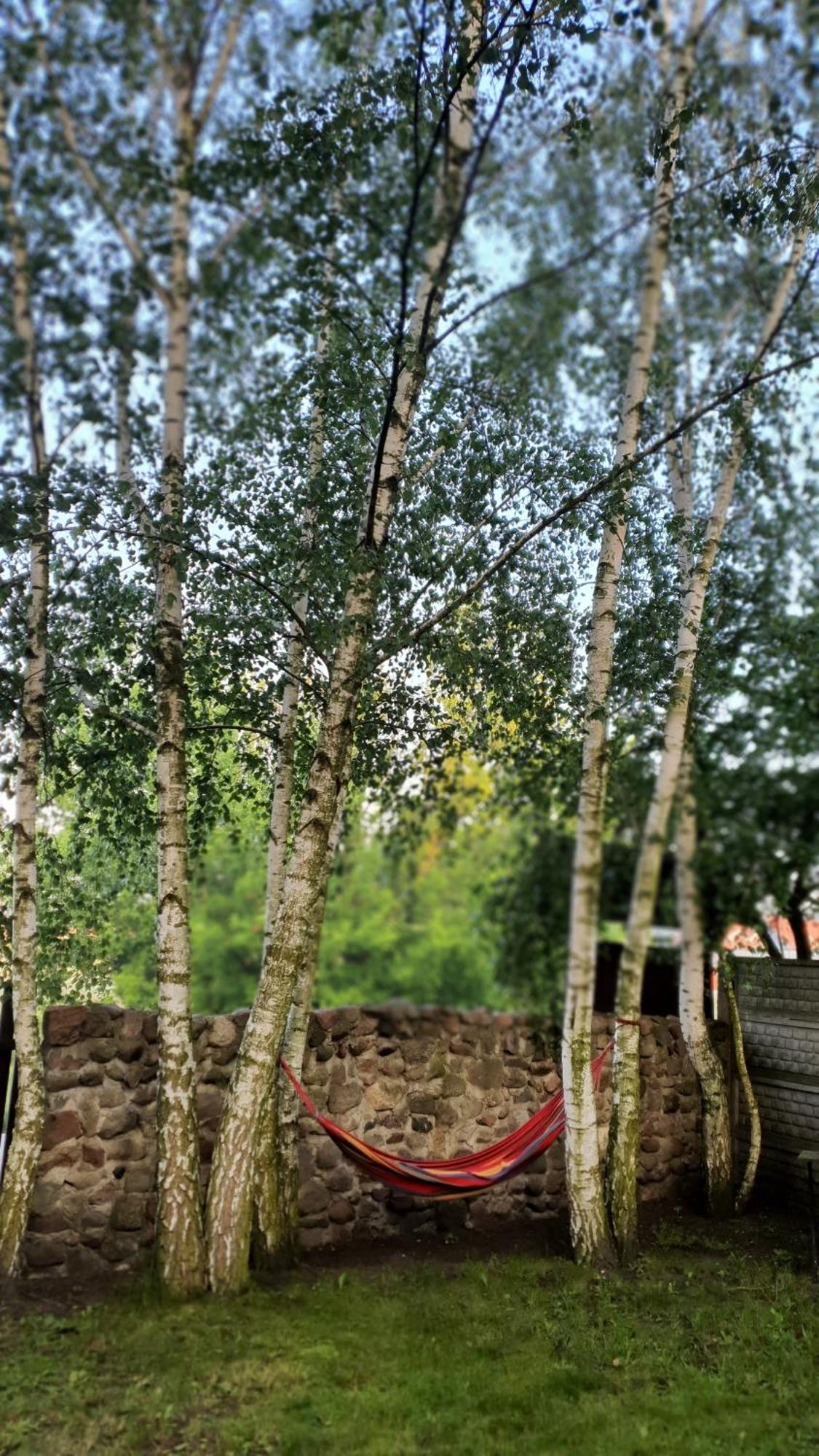 Babie Lato b&b Uniejow Esterno foto